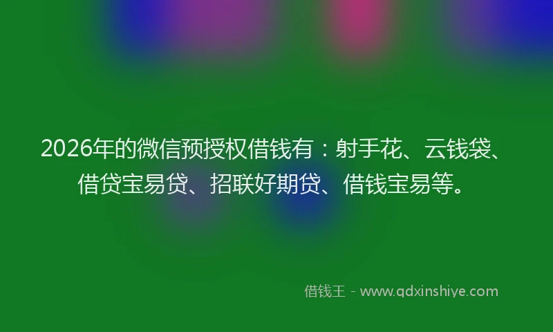 2026年的微信预授权借钱有：射手花、云钱袋、借贷宝易贷、招联好期贷、借钱宝易等。