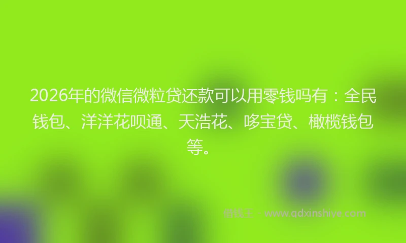 2026年的微信微粒贷还款可以用零钱吗有：全民钱包、洋洋花呗通、天浩花、哆宝贷、橄榄钱包等。