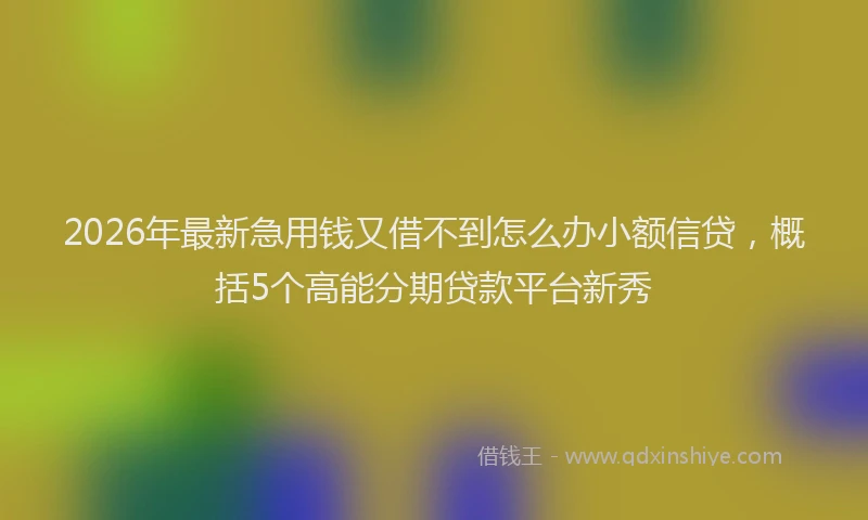 2026年最新急用钱又借不到怎么办小额信贷，概括5个高能分期贷款平台新秀