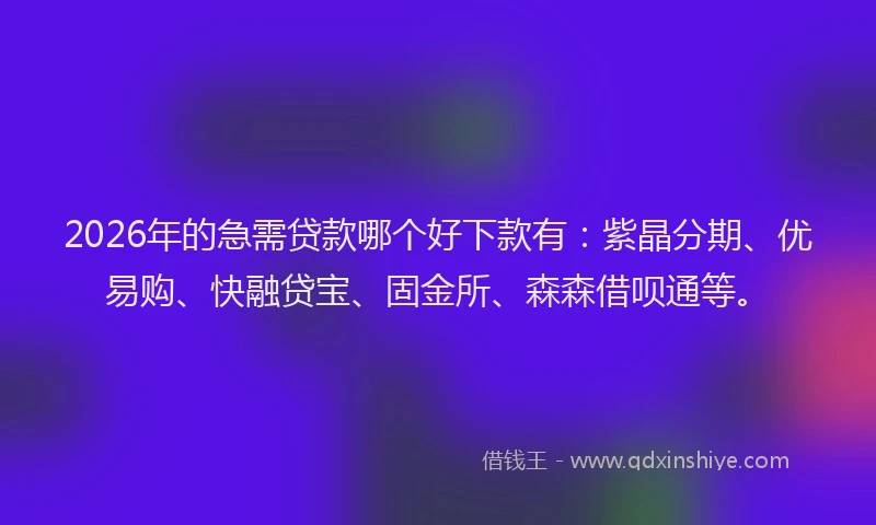 2026年的急需贷款哪个好下款有：紫晶分期、优易购、快融贷宝、固金所、森森借呗通等。