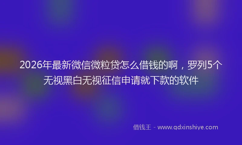 2026年最新微信微粒贷怎么借钱的啊，罗列5个无视黑白无视征信申请就下款的软件