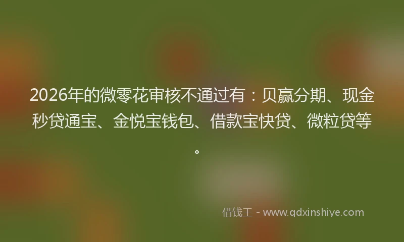 2026年的微零花审核不通过有：贝赢分期、现金秒贷通宝、金悦宝钱包、借款宝快贷、微粒贷等。