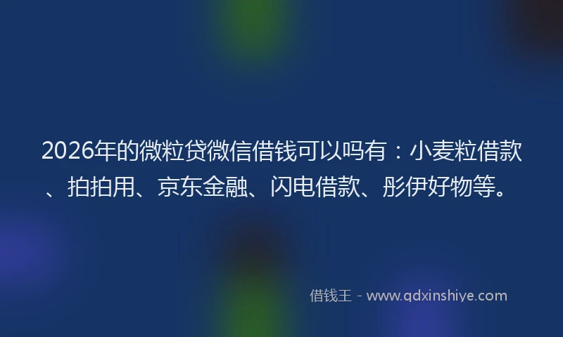 2026年的微粒贷微信借钱可以吗有：小麦粒借款、拍拍用、京东金融、闪电借款、彤伊好物等。