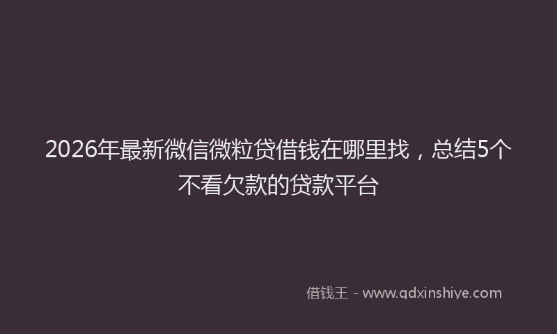 2026年最新微信微粒贷借钱在哪里找，总结5个不看欠款的贷款平台