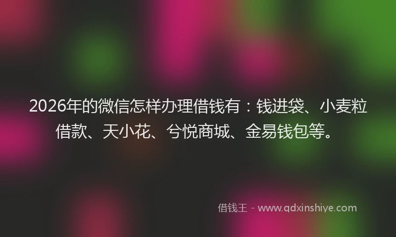2026年的微信怎样办理借钱有：钱进袋、小麦粒借款、天小花、兮悦商城、金易钱包等。