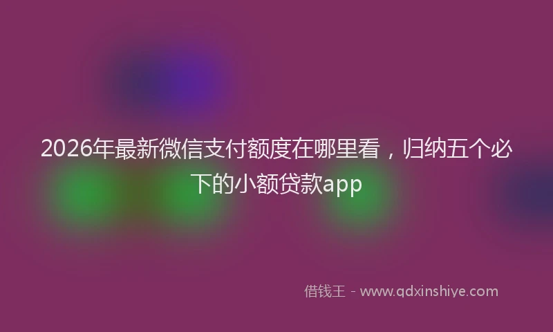 2026年最新微信支付额度在哪里看，归纳五个必下的小额贷款app