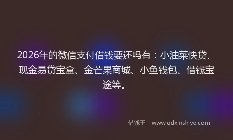2026年的微信支付借钱要还吗有：小油菜快贷、现金易贷宝盒、金芒果商城、小鱼钱包、借钱宝途等。