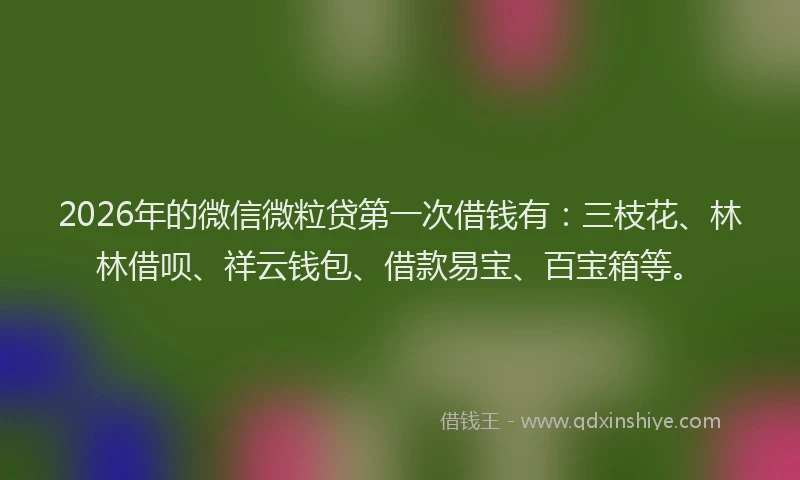 2026年的微信微粒贷第一次借钱有：三枝花、林林借呗、祥云钱包、借款易宝、百宝箱等。