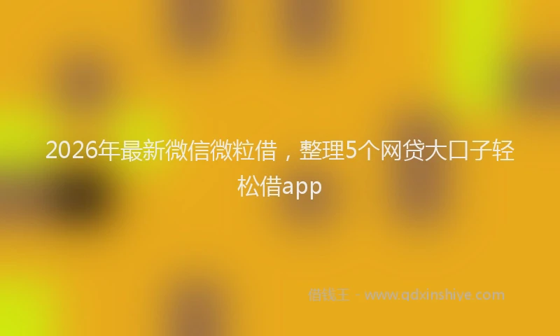 2026年最新微信微粒借，整理5个网贷大口子轻松借app