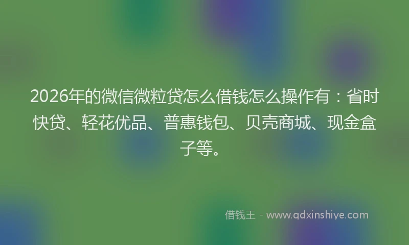 2026年的微信微粒贷怎么借钱怎么操作有：省时快贷、轻花优品、普惠钱包、贝壳商城、现金盒子等。