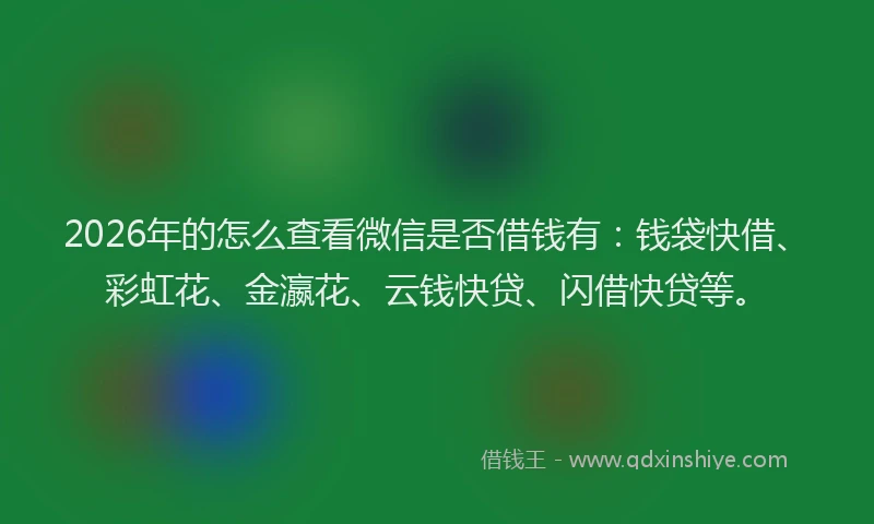 2026年的怎么查看微信是否借钱有:钱袋快借、彩虹花、金瀛花、云钱快贷、闪借快贷等。