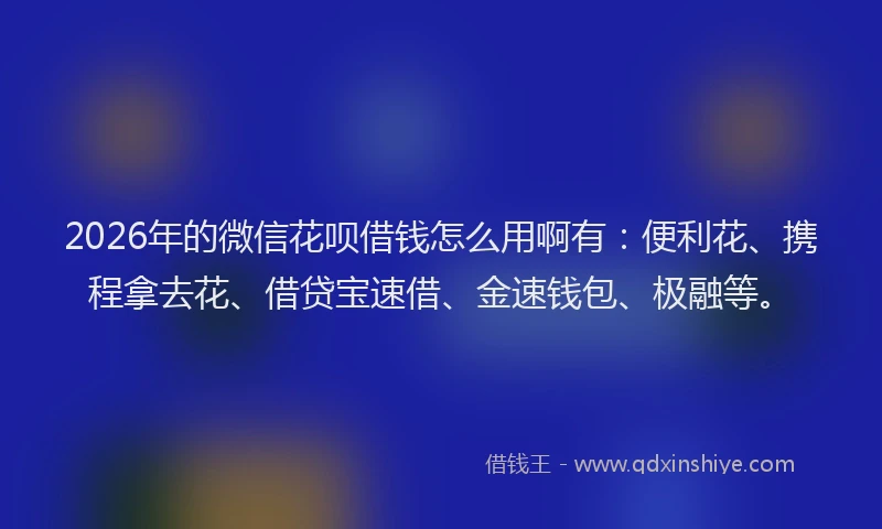 2026年的微信花呗借钱怎么用啊有：便利花、携程拿去花、借贷宝速借、金速钱包、极融等。