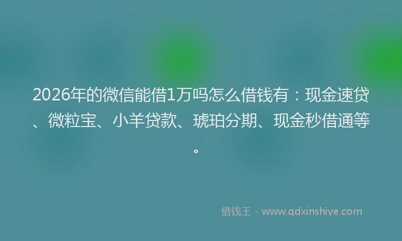 2026年的微信能借1万吗怎么借钱有：现金速贷、微粒宝、小羊贷款、琥珀分期、现金秒借通等。