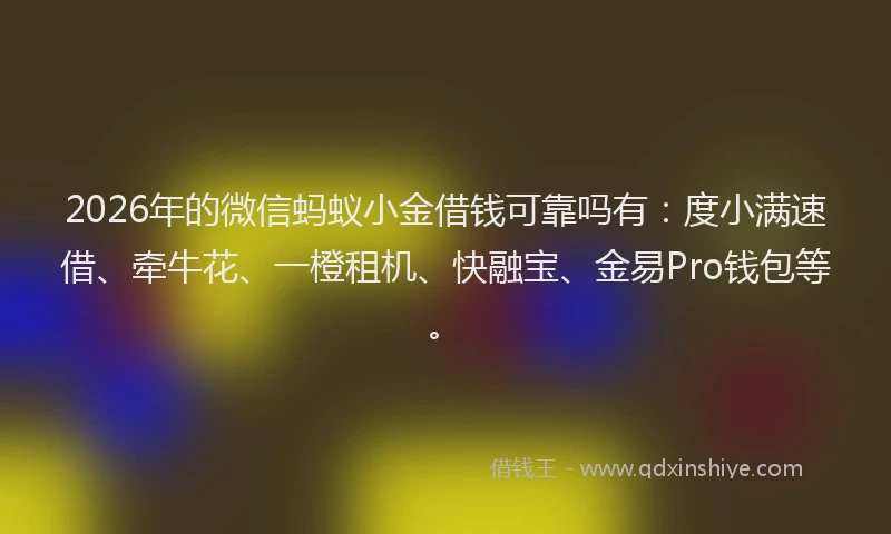 2026年的微信蚂蚁小金借钱可靠吗有：度小满速借、牵牛花、一橙租机、快融宝、金易Pro钱包等。