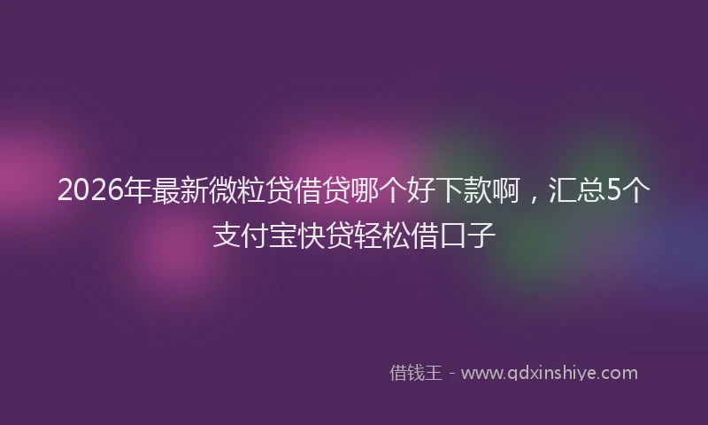 2026年最新微粒贷借贷哪个好下款啊，汇总5个支付宝快贷轻松借口子