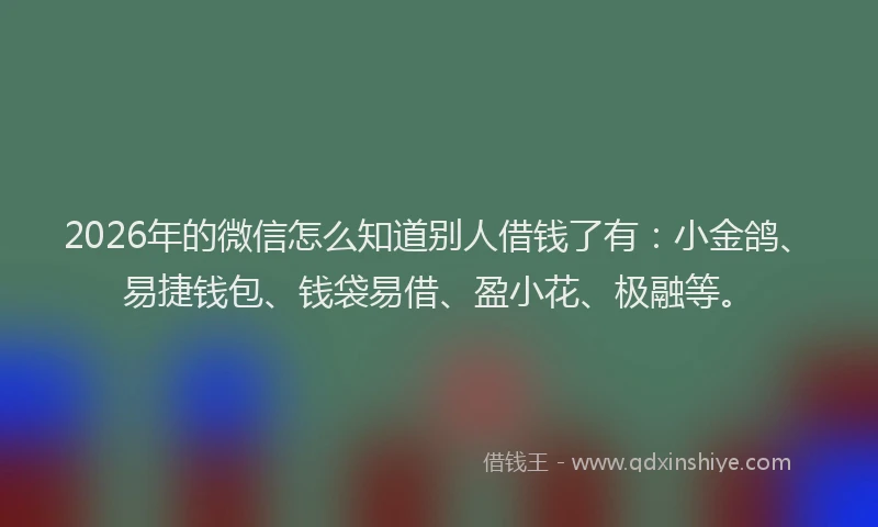 2026年的微信怎么知道别人借钱了有：小金鸽、易捷钱包、钱袋易借、盈小花、极融等。
