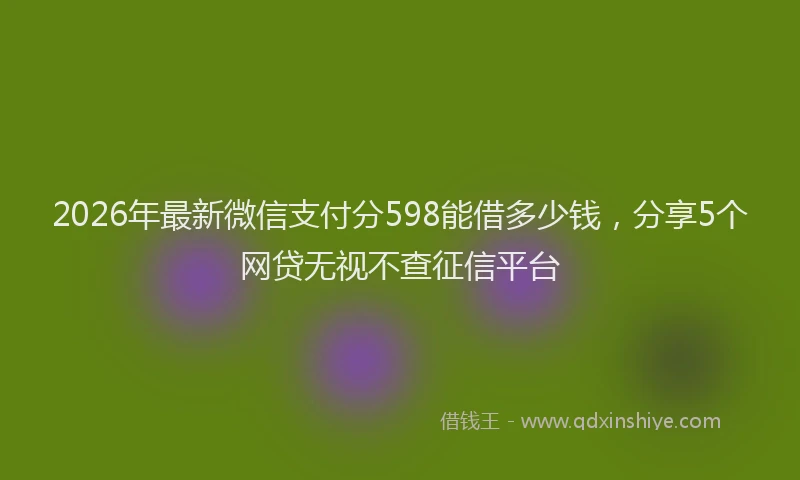 2026年最新微信支付分598能借多少钱，分享5个网贷无视不查征信平台