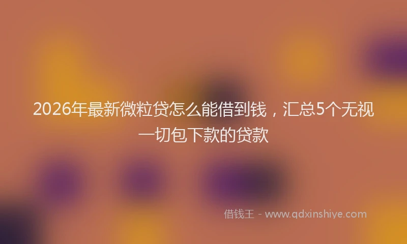 2026年最新微粒贷怎么能借到钱，汇总5个无视一切包下款的贷款