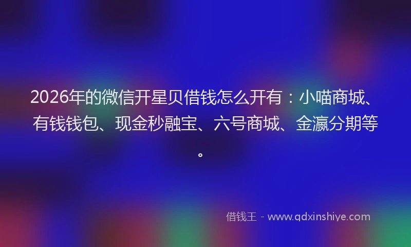 2026年的微信开星贝借钱怎么开有：小喵商城、有钱钱包、现金秒融宝、六号商城、金瀛分期等。