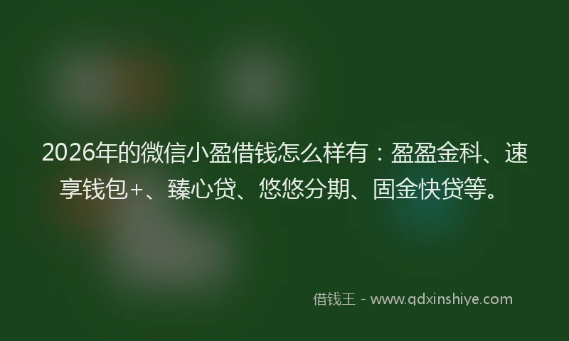 2026年的微信小盈借钱怎么样有：盈盈金科、速享钱包+、臻心贷、悠悠分期、固金快贷等。