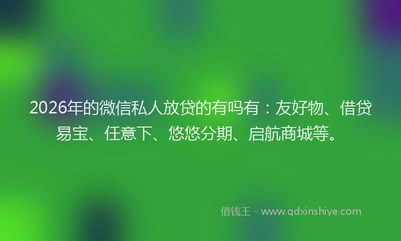 2026年的微信私人放贷的有吗有：友好物、借贷易宝、任意下、悠悠分期、启航商城等。