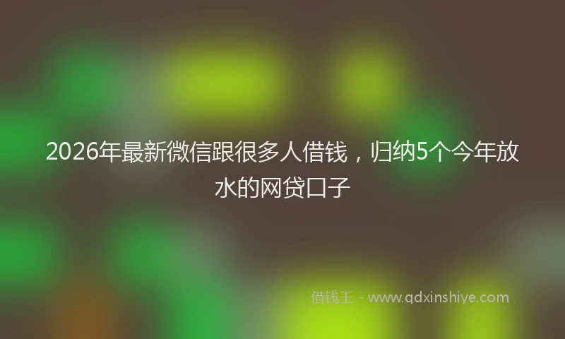 2026年最新微信跟很多人借钱，归纳5个今年放水的网贷口子