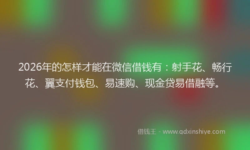 2026年的怎样才能在微信借钱有：射手花、畅行花、翼支付钱包、易速购、现金贷易借融等。