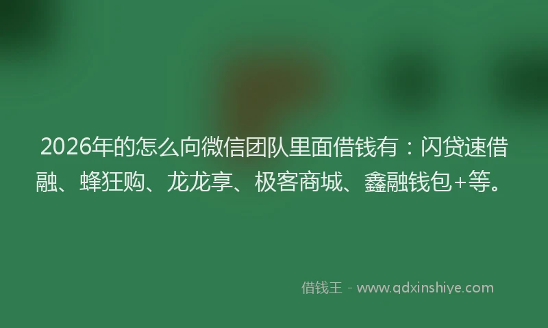 2026年的怎么向微信团队里面借钱有：闪贷速借融、蜂狂购、龙龙享、极客商城、鑫融钱包+等。