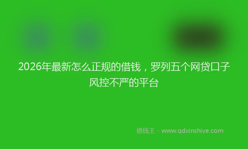 2026年最新怎么正规的借钱，罗列五个网贷口子风控不严的平台