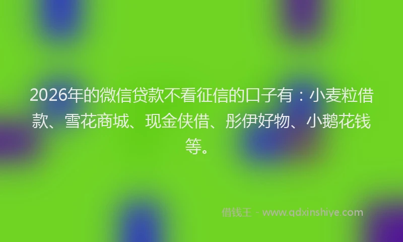 2026年的微信贷款不看征信的口子有：小麦粒借款、雪花商城、现金侠借、彤伊好物、小鹅花钱等。