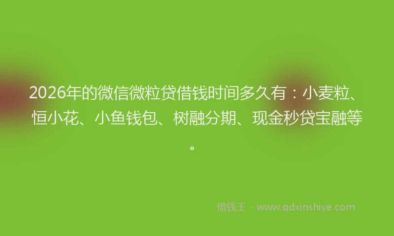 2026年的微信微粒贷借钱时间多久有：小麦粒、恒小花、小鱼钱包、树融分期、现金秒贷宝融等。