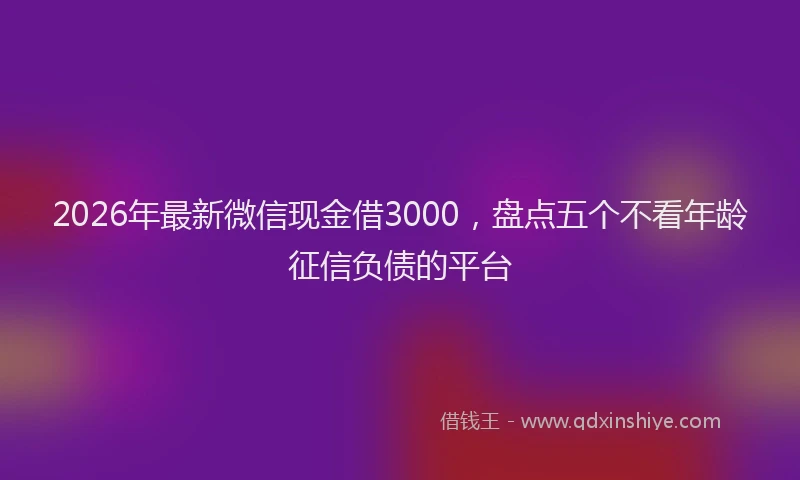 2026年最新微信现金借3000，盘点五个不看年龄征信负债的平台