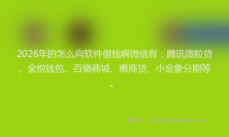 2026年的怎么向软件借钱啊微信有：腾讯微粒贷、金悦钱包、百樂商城、惠商贷、小金象分期等。