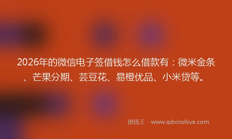 2026年的微信电子签借钱怎么借款有：微米金条、芒果分期、芸豆花、易橙优品、小米贷等。