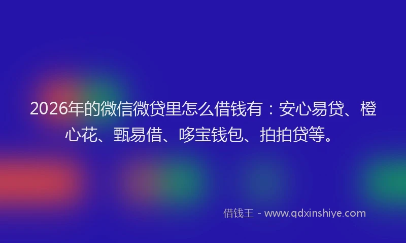 2026年的微信微贷里怎么借钱有：安心易贷、橙心花、甄易借、哆宝钱包、拍拍贷等。