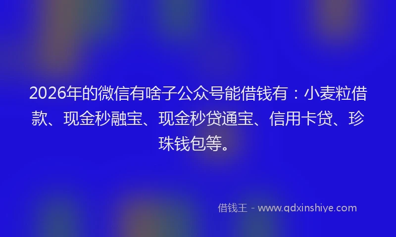 2026年的微信有啥子公众号能借钱有：小麦粒借款、现金秒融宝、现金秒贷通宝、信用卡贷、珍珠钱包等。