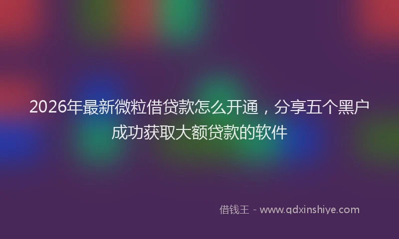 2026年最新微粒借贷款怎么开通，分享五个黑户成功获取大额贷款的软件