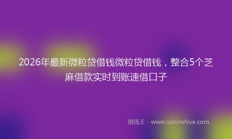 2026年最新微粒贷借钱微粒贷借钱，整合5个芝麻借款实时到账速借口子