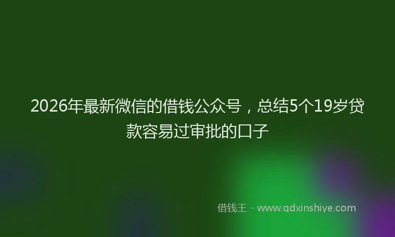 2026年最新微信的借钱公众号，总结5个19岁贷款容易过审批的口子