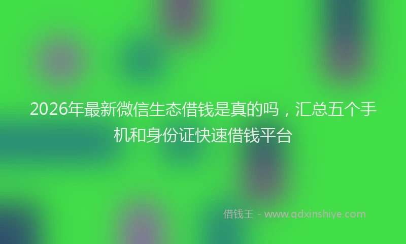 2026年最新微信生态借钱是真的吗，汇总五个手机和身份证快速借钱平台