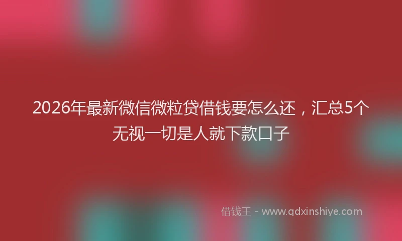 2026年最新微信微粒贷借钱要怎么还，汇总5个无视一切是人就下款口子
