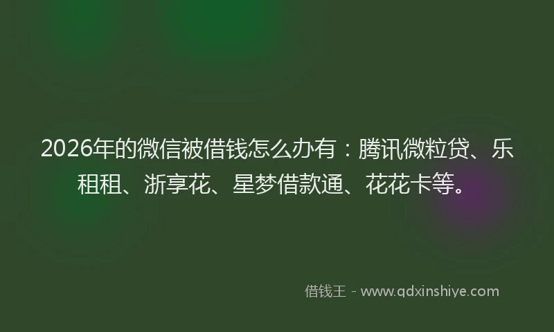 2026年的微信被借钱怎么办有：腾讯微粒贷、乐租租、浙享花、星梦借款通、花花卡等。