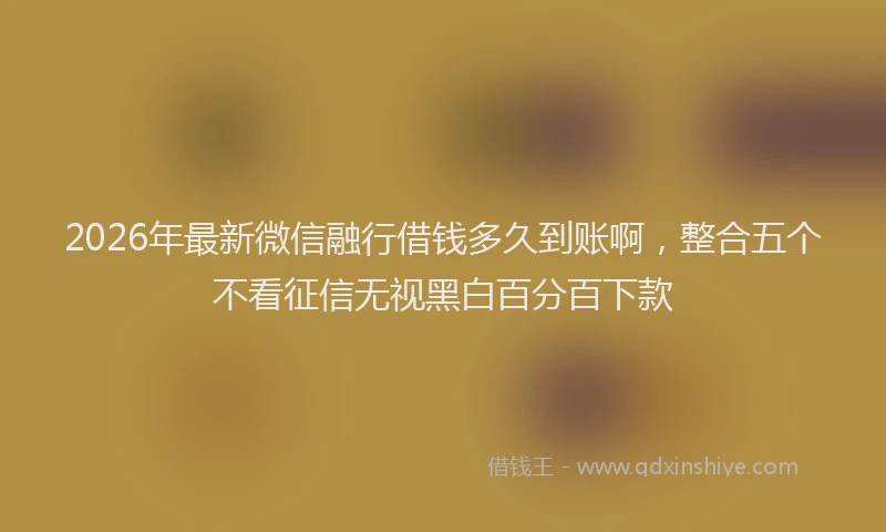 2026年最新微信融行借钱多久到账啊，整合五个不看征信无视黑白百分百下款