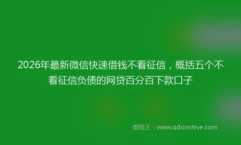 2026年最新微信快速借钱不看征信，概括五个不看征信负债的网贷百分百下款口子