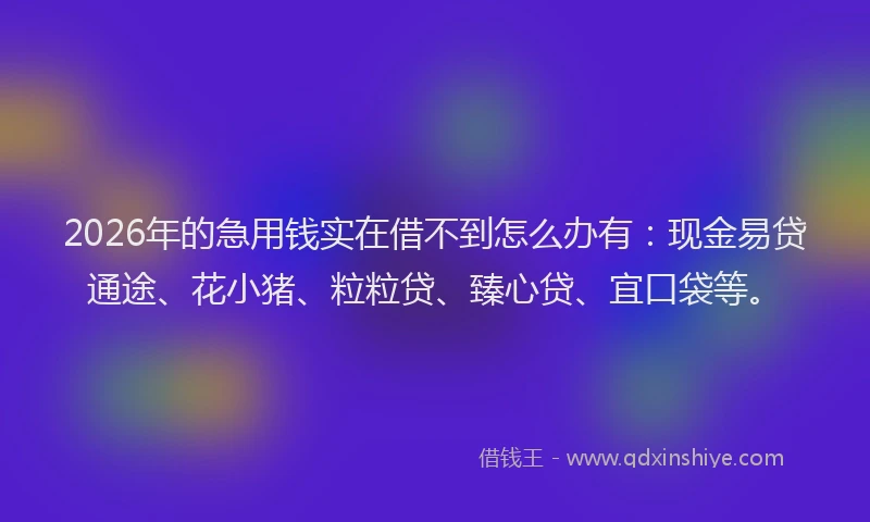 2026年的急用钱实在借不到怎么办有：现金易贷通途、花小猪、粒粒贷、臻心贷、宜口袋等。