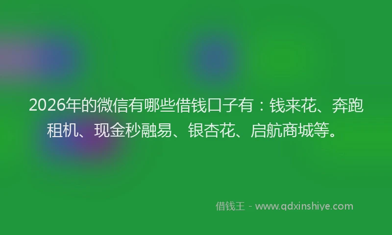 2026年的微信有哪些借钱口子有：钱来花、奔跑租机、现金秒融易、银杏花、启航商城等。