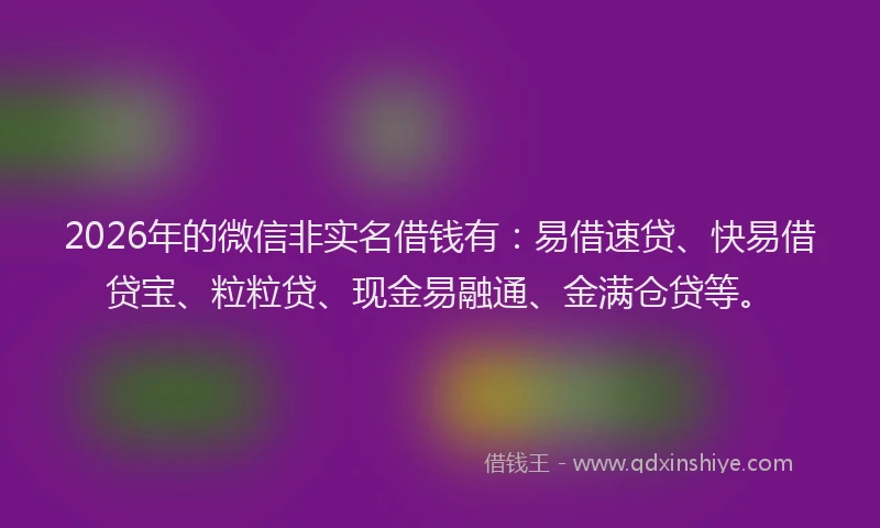 2026年的微信非实名借钱有：易借速贷、快易借贷宝、粒粒贷、现金易融通、金满仓贷等。