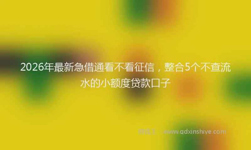 2026年最新急借通看不看征信，整合5个不查流水的小额度贷款口子