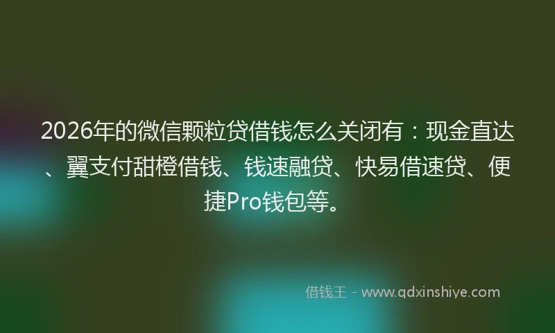 2026年的微信颗粒贷借钱怎么关闭有：现金直达、翼支付甜橙借钱、钱速融贷、快易借速贷、便捷Pro钱包等。