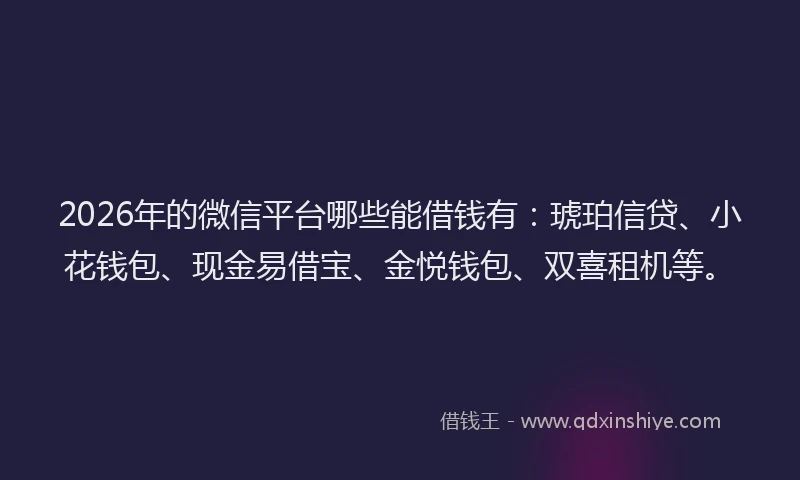 2026年的微信平台哪些能借钱有：琥珀信贷、小花钱包、现金易借宝、金悦钱包、双喜租机等。